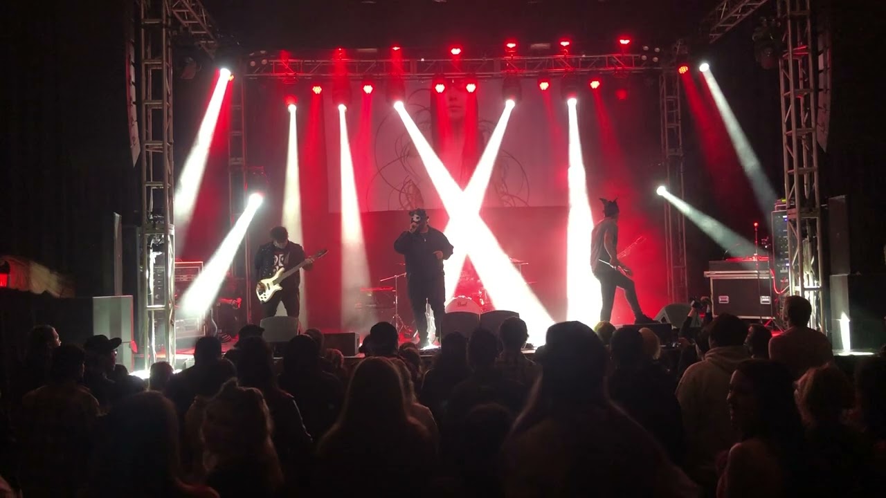 The Bunny The Bear Full Show Live in 