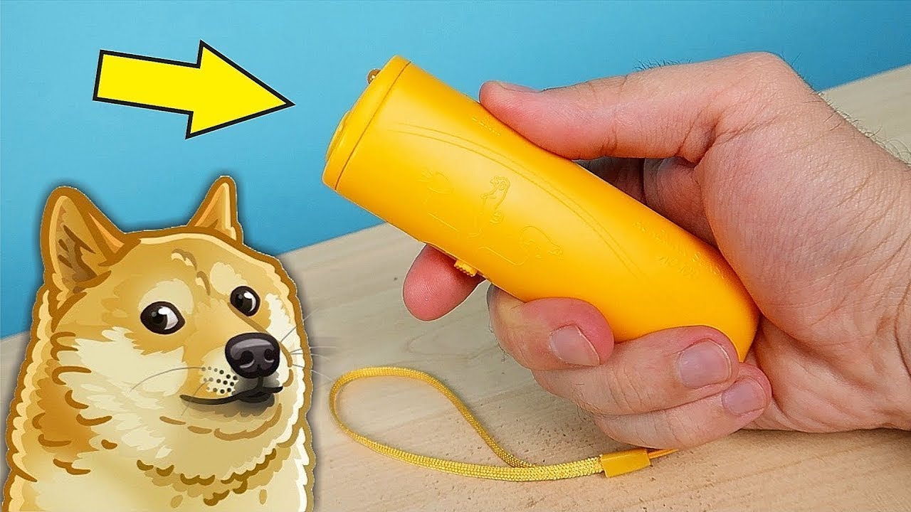 ESPANTADOR DE PERROS DE ALIEXPRESS | ¿LE TEMEN LOS PERROS?