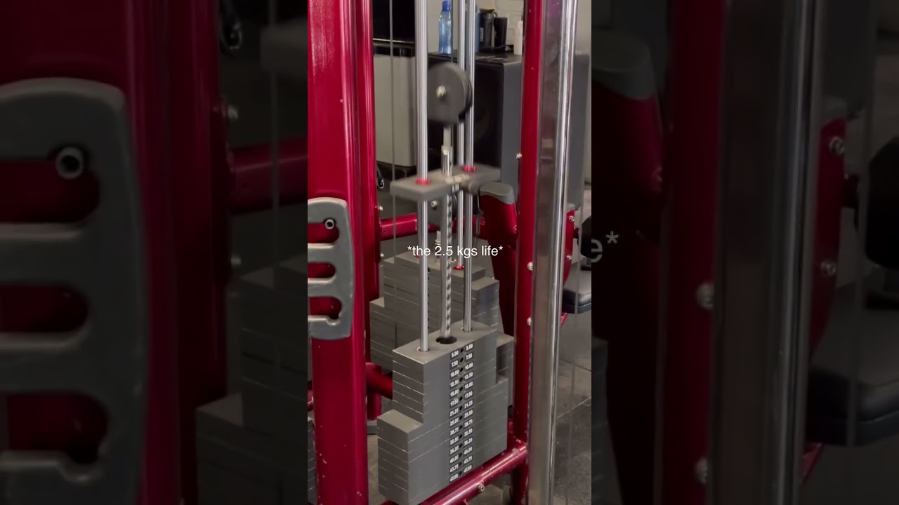 Chest Workout With Doumbles Bench Press Tricep Workout Chest Workout LegWorkout Bicep Workout