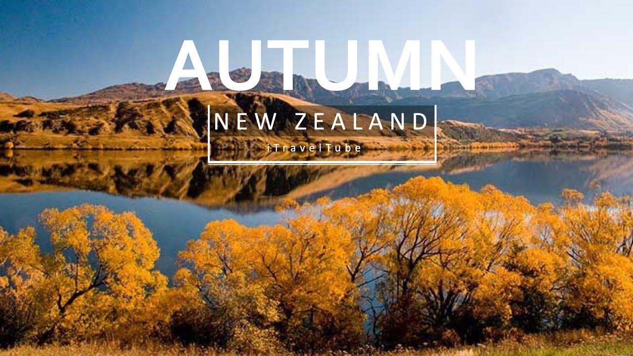 Stunning Autumn in New Zealand