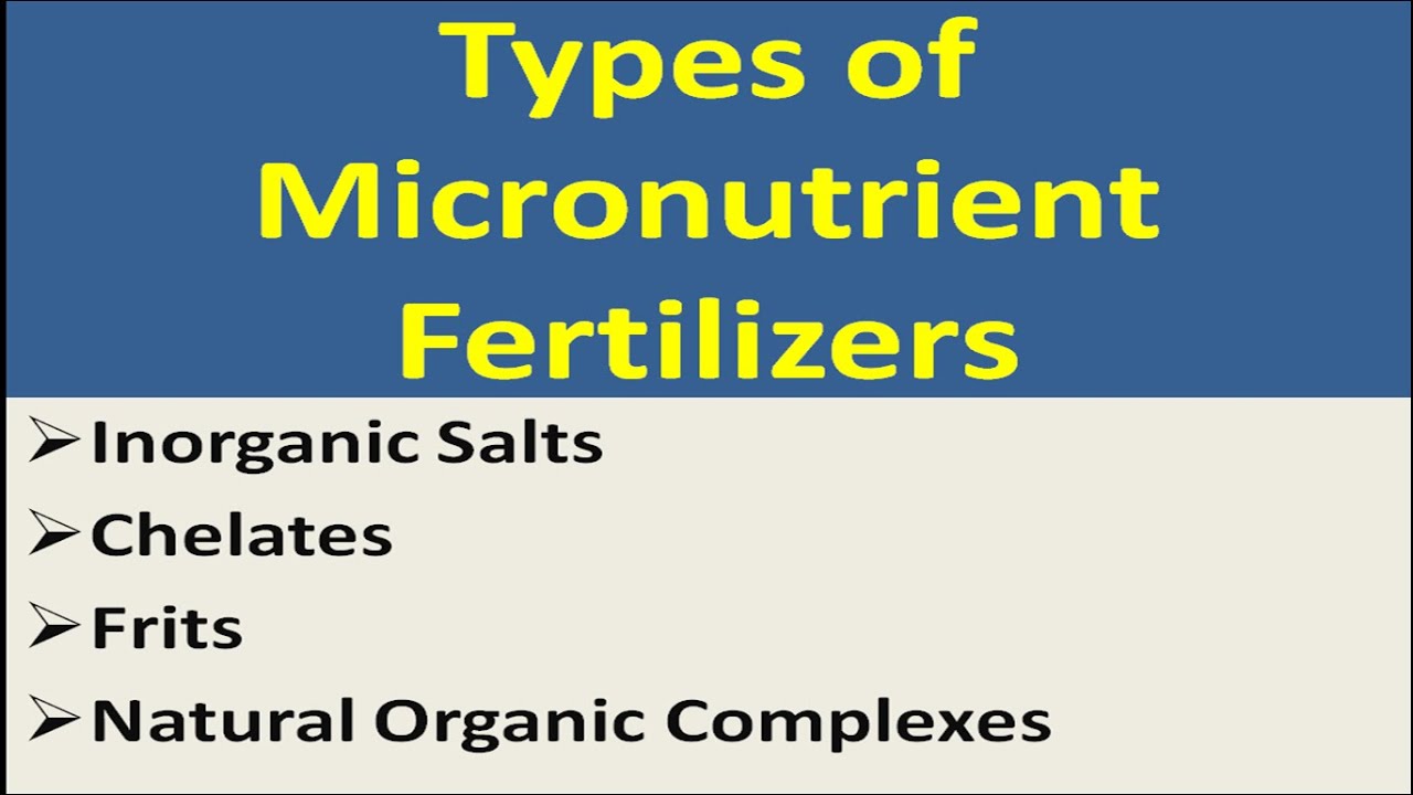 Types of Micronutrient Fertilizers