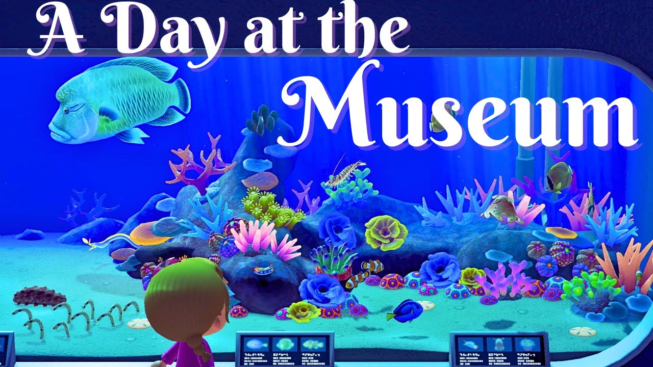 Completed Animal Crossing Museum Tour | No Talking