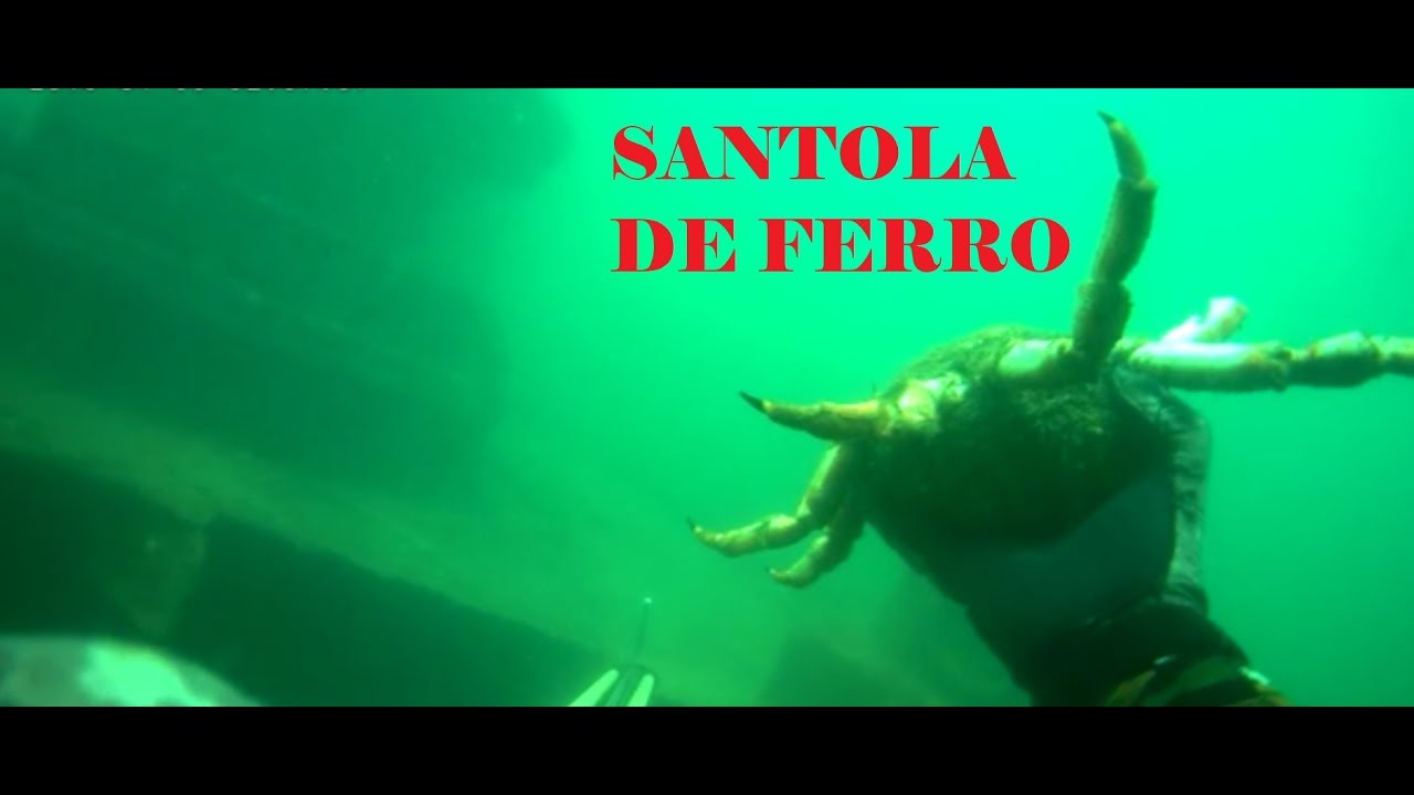 SANTOLA DE FERRO   Pesca Subacquea - Spearfishing - Pesca Submarina - Chasse Sous Marine