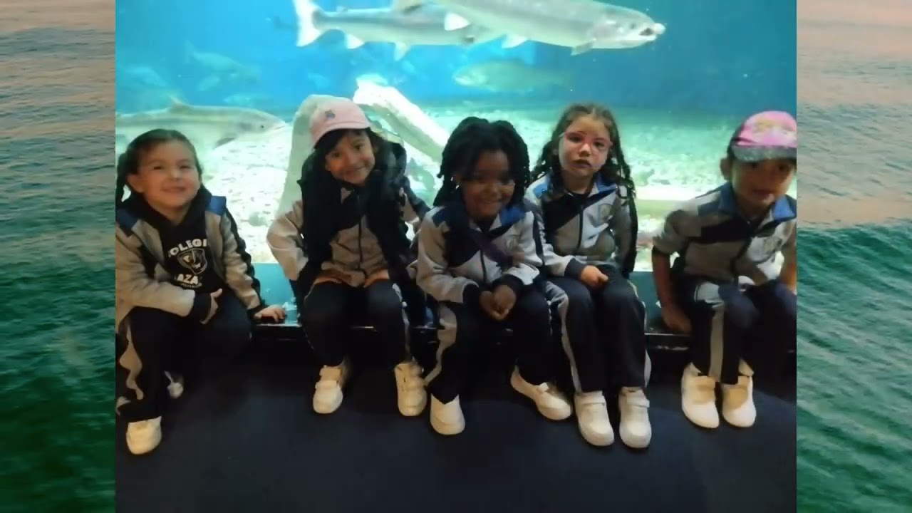 Excursión final de curso EI  acuario 2025