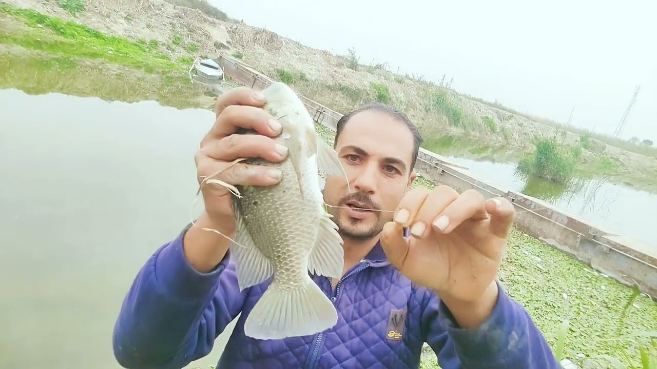 بالرغم صعوبه الجو خدنا سمك كبير