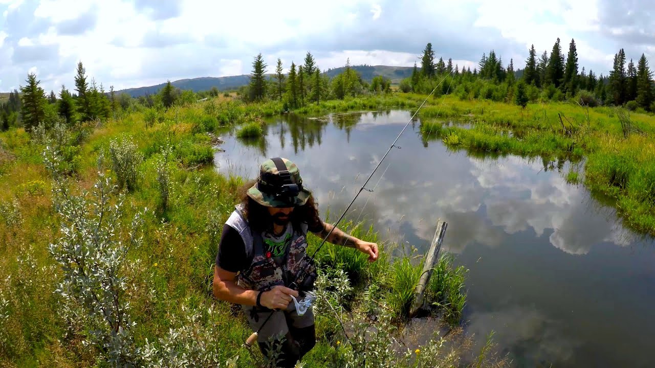 2 Days Alone Fishing Wild Trout Across Saskatchewan / Catch n Cook Ep.1