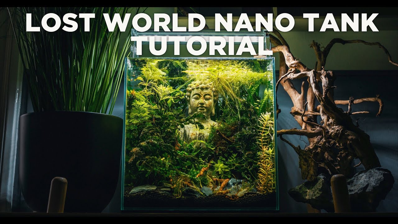 How to make your own LOST WORLD nano tank - STEP BY STEP TUTORIAL