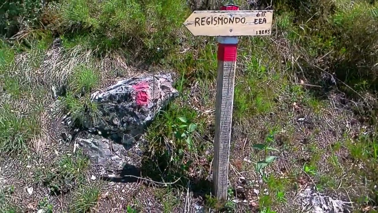 corno regismondo