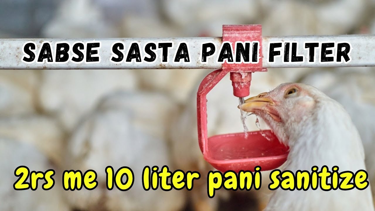 Poultry ke liye Sabse Sasta aur Kargar Sanitizer | How to sanitize poultry water | ORP & pH meter