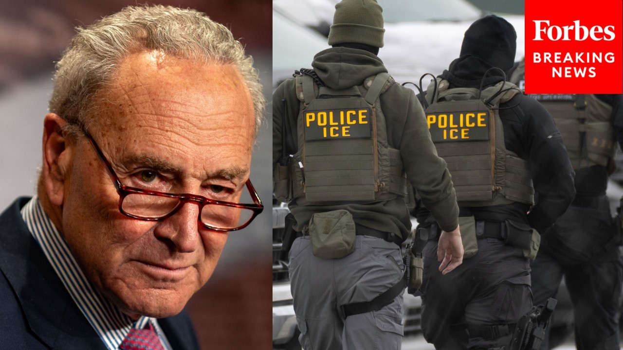 'Basic Identification Is A Must': Schumer Reaffirms Dems' Calls For ICE Reform As DHS Shutdown Looms