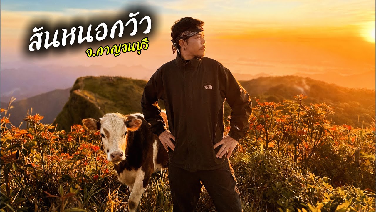 เดินป่าไทยที่สันหนอกวัว | กาญจนบุรี | 2วัน1คืน | ไม่มีผี!!
