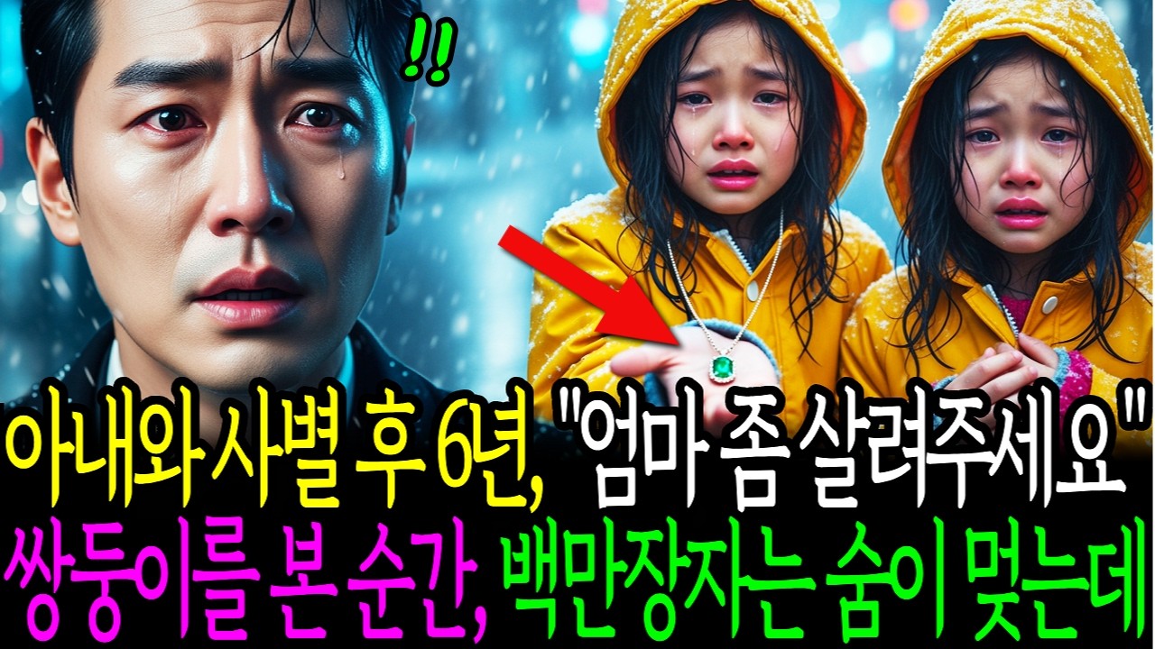 아내가 죽은지 6년 뒤, 폭설 속 쌍둥이가 찾아와 