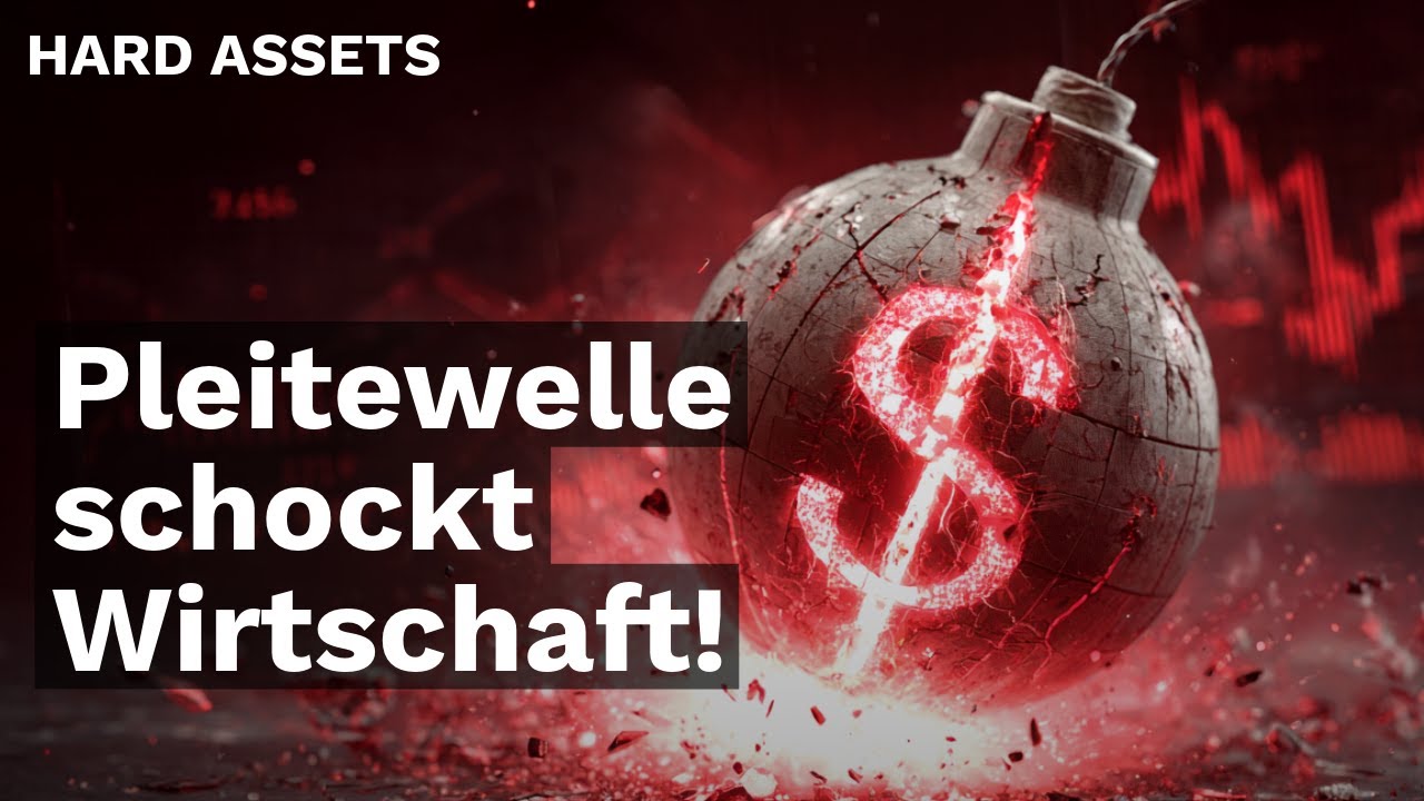 Pleitewelle schockt Wirtschaft!