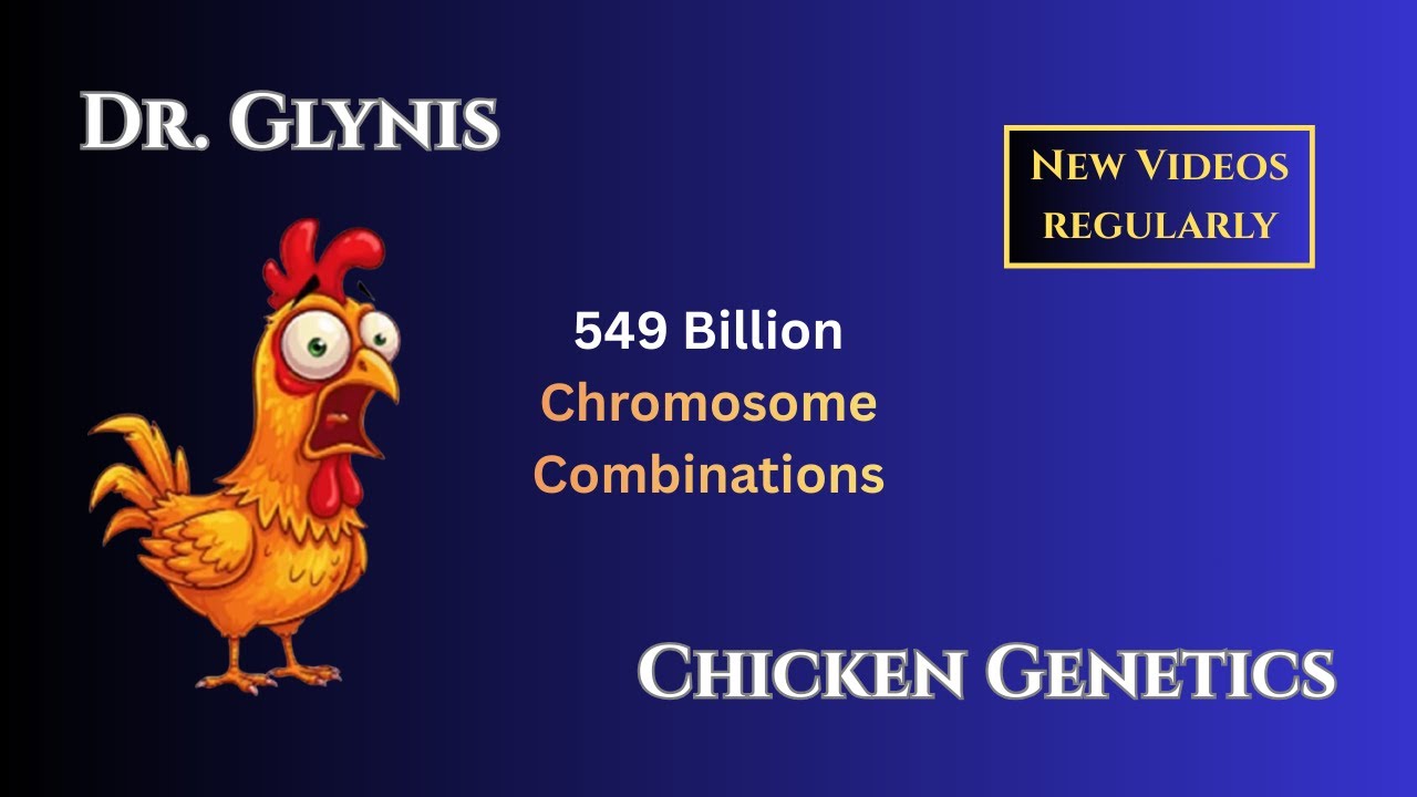 8. Chicken Genetics - Variety is the Spice of Life