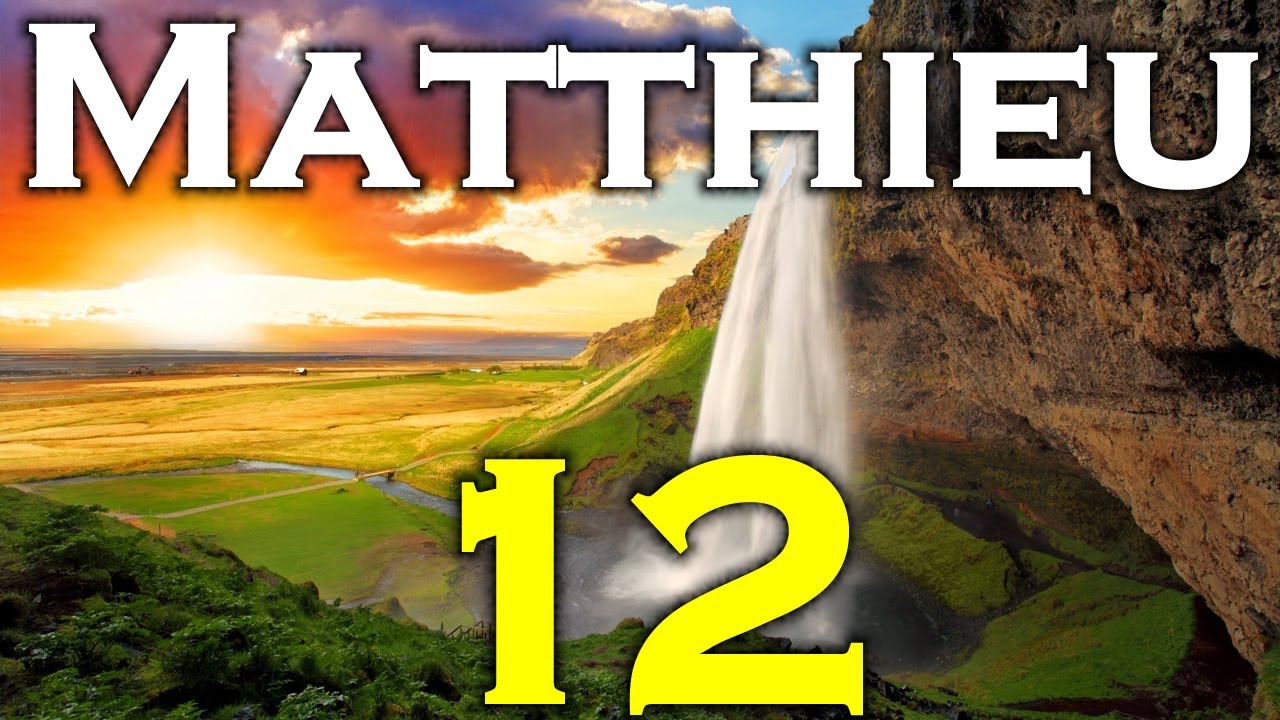 Matthieu - Chapitre 12