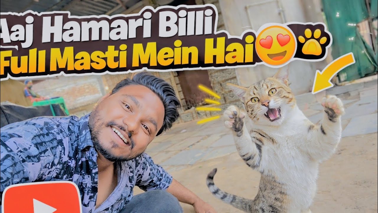 Aaj Hamari Billi Full Masti Mein Hai 😍🐾