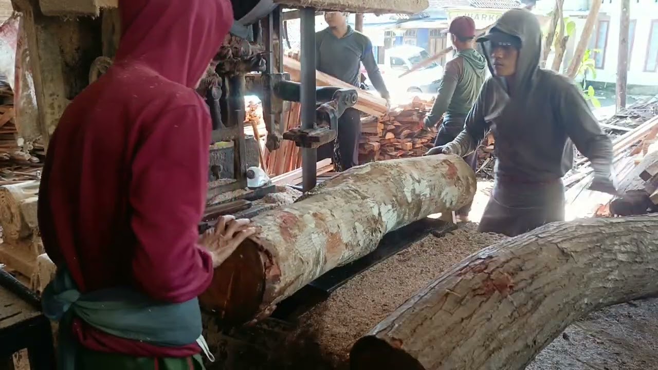 LUAR BIASA HAMPIR TK TERSISA 22 33 DAN 55 KAYU MAHONI
