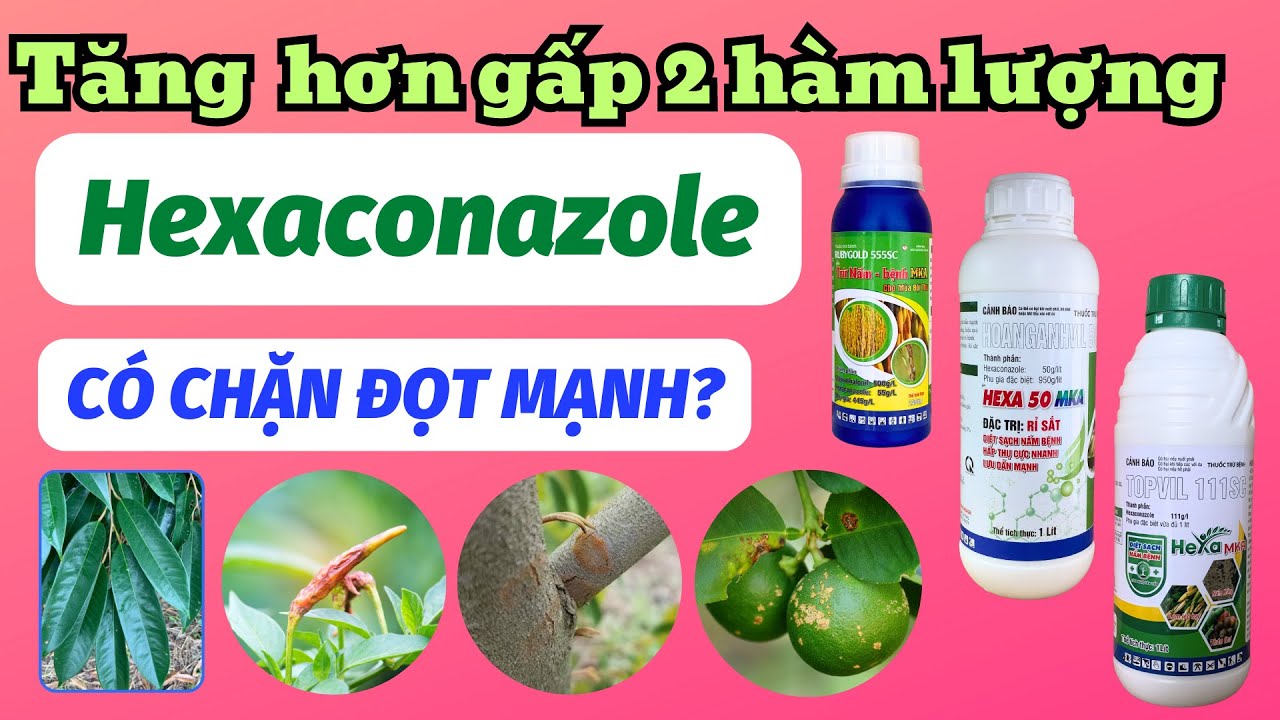 Tăng hơn gấp 2 hàm lượng Hexaconazole trong sản phẩm thì hiệu quả có cao hơn? Có chặn đọt mạnh hơn?