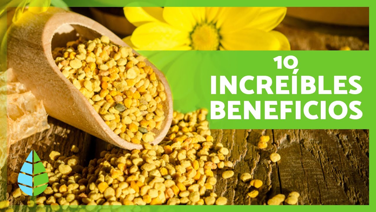 10 BENEFICIOS del POLEN de ABEJA 💛✅  (Para Qu&eacute; Sirve y C&oacute;mo Consumirlo)