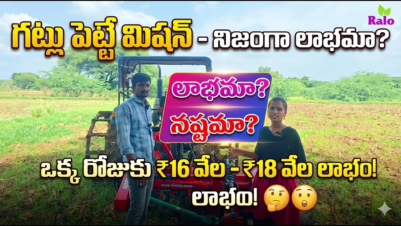 వరాలుపెట్టే మిషన్ తో సులభంగా వరాలుపెట్టుకోవచ్చు ఎలాంటిఇబ్బంది లేదు#raloagrogenetics#bestquality#ralo