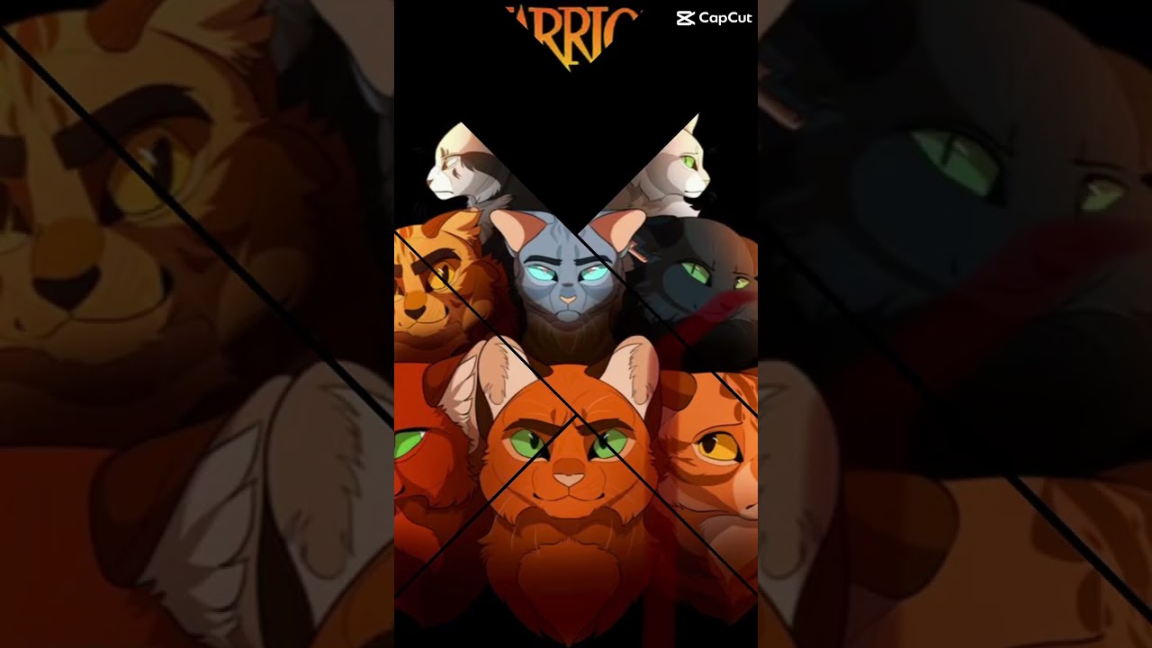 WoW 