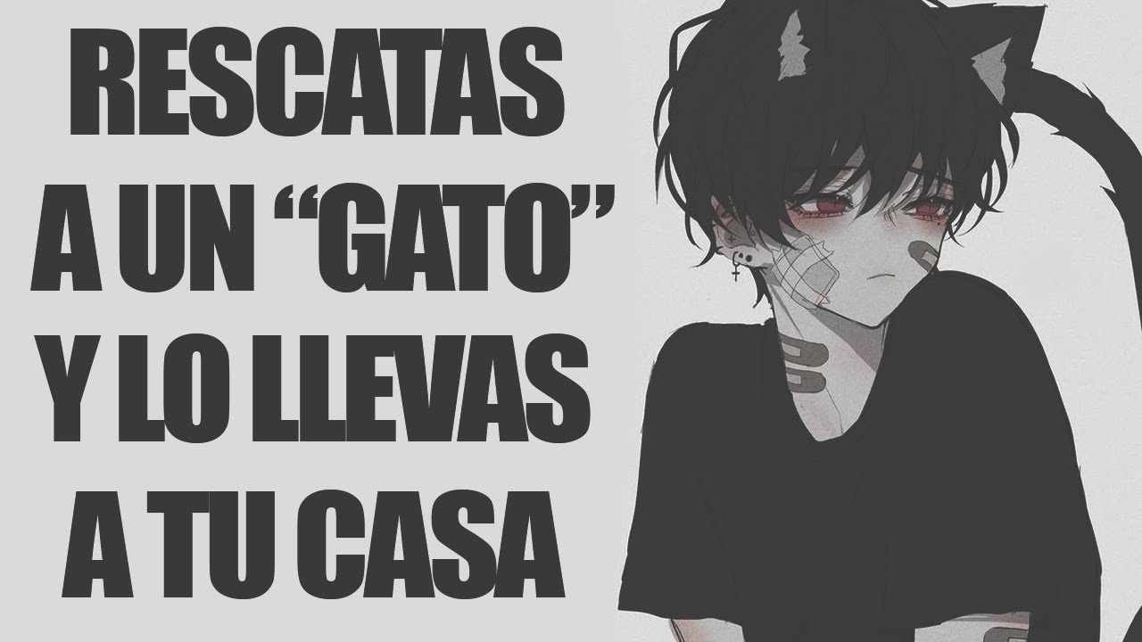 RESCATAS A UN "GATO" Y LO LLEVAS A TU CASA - [ASMR] [ROLEPLAY]
