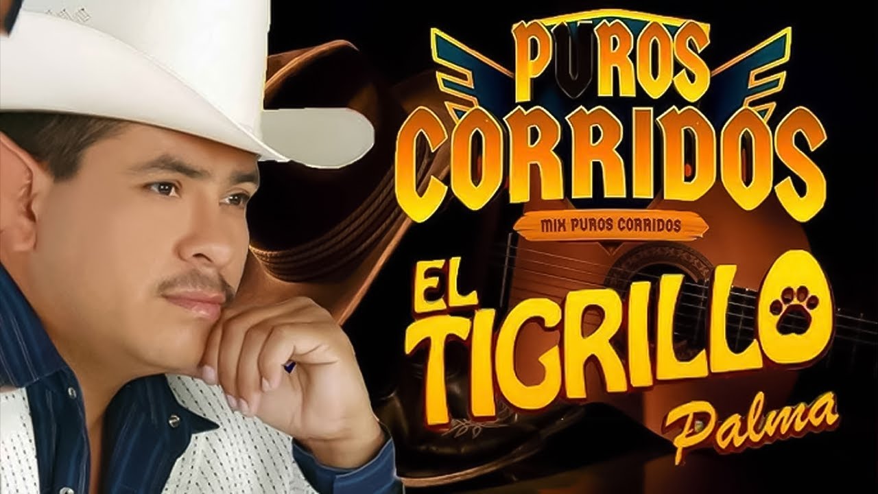 El Tigrillo Palma - Corridos Pesados Mix (30 Exitos)