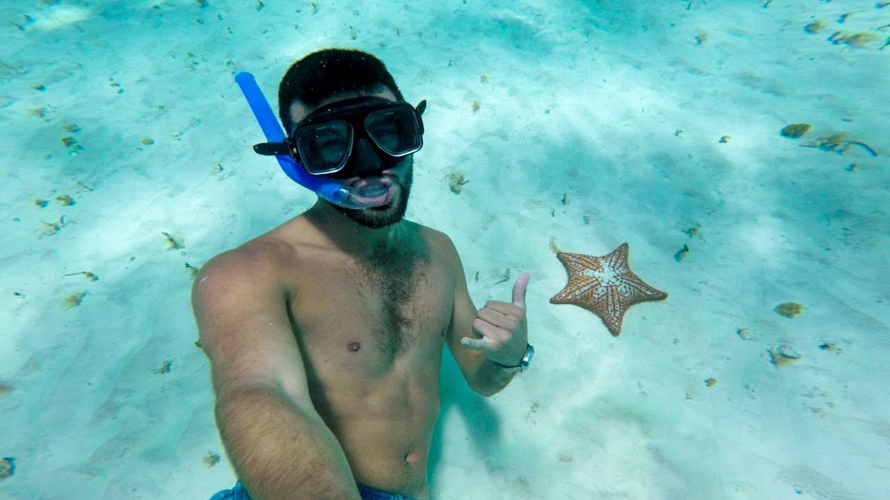 Tour EL CIELO COZUMEL ¿cuanto cuesta? ¿que incluye? desde cancun o playa del carmen @sebitastrip