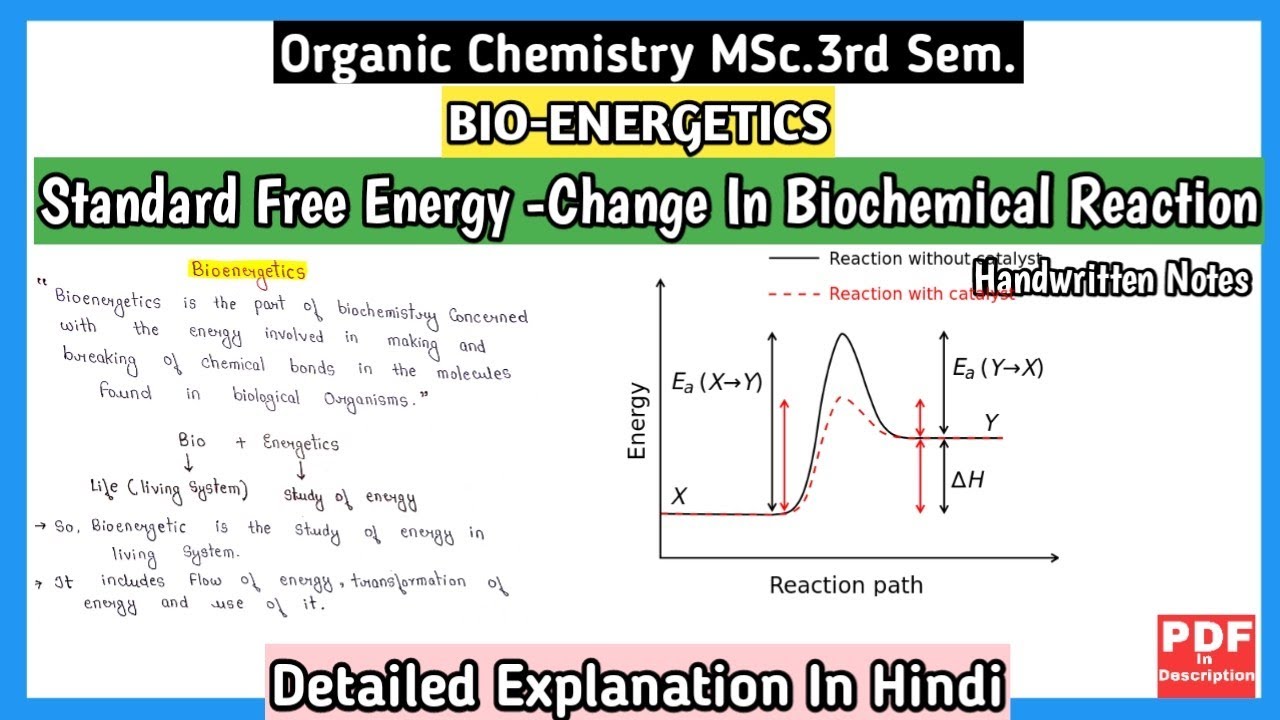 Standard Free Energy Change In Biochemical Reaction | Bio-Energetic | MSc.3rd Sem.,Organic Chemistry