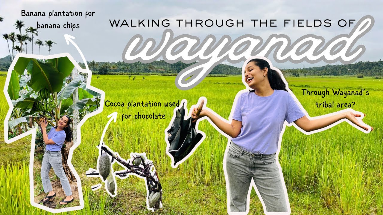 Wayanad - explore an offbeat place, a place untouched, calm and full of hidden beauty