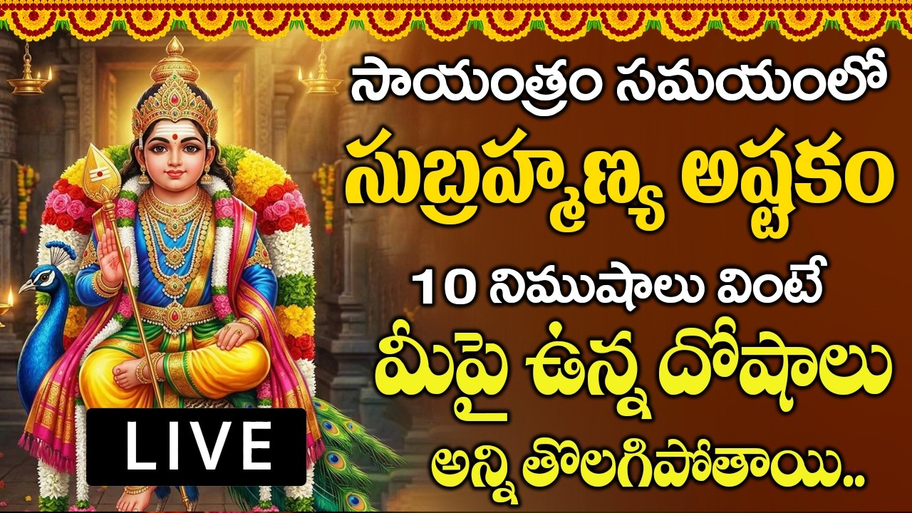 మంగళవారం ఉదయాన్నే స్కంద అష్టకం10 నిముషాలు వింటే మీపై ఉన్న దోషాలు అన్నిపోతాయి.. | SUBRAMANYA ASHTAKAM