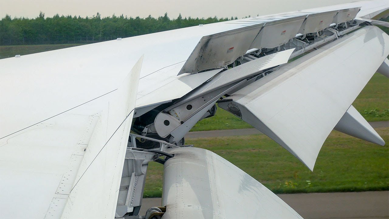 【4K】 頑張るエルロン ANA 065便 B787-9 新千歳空港着陸【DMC-GX7MK2 】