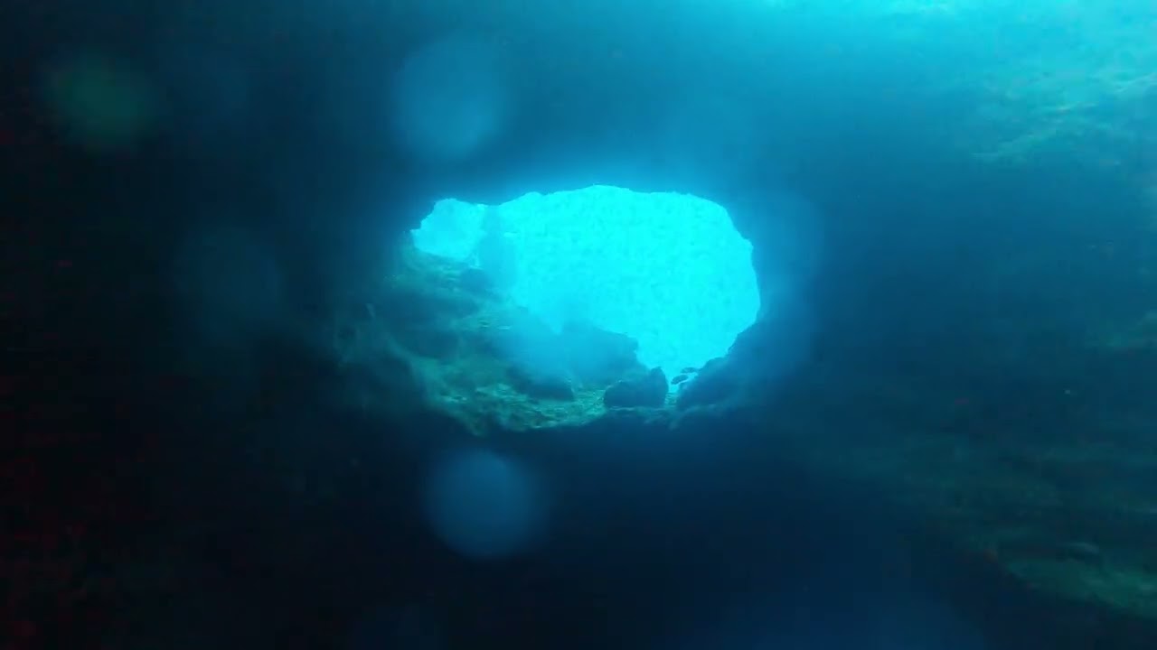 Moalboal Scuba Diving 2025 75