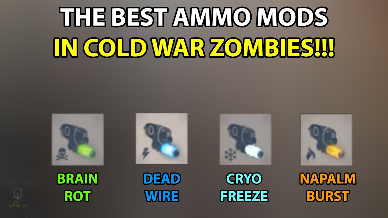 The Best Ammo Mods To Upgrade And Use On Weapons (Cold War Zombies)