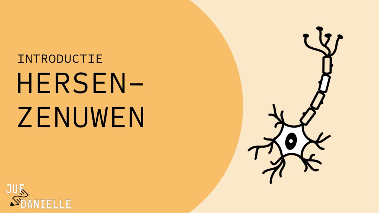 Hersenzenuwen
