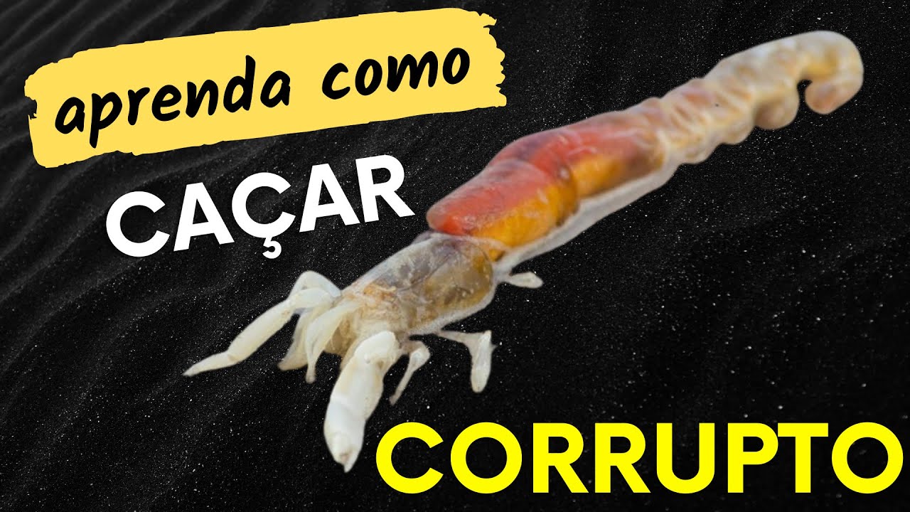 APRENDA COMO CAÇAR CORRUPTO