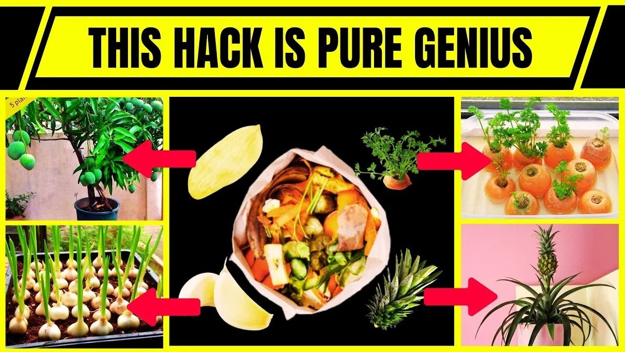 Grow Fruits & Veggies from Kitchen Scraps &ndash; Save Money & Space!