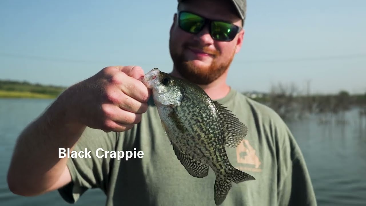I Love My Job as a Fisheries Biologist