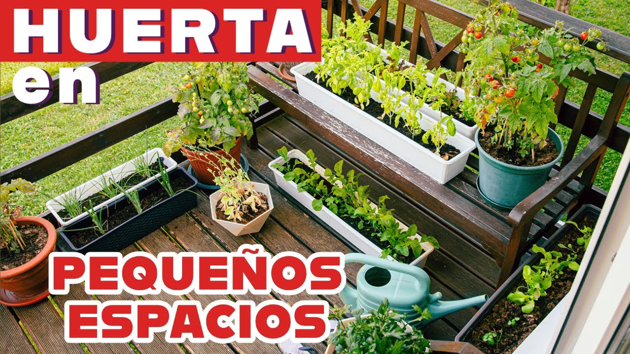 Cómo producir mucho alimento en poco espacio.