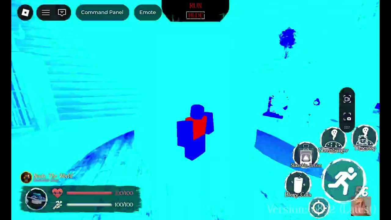 Noob:The world glitch??? 