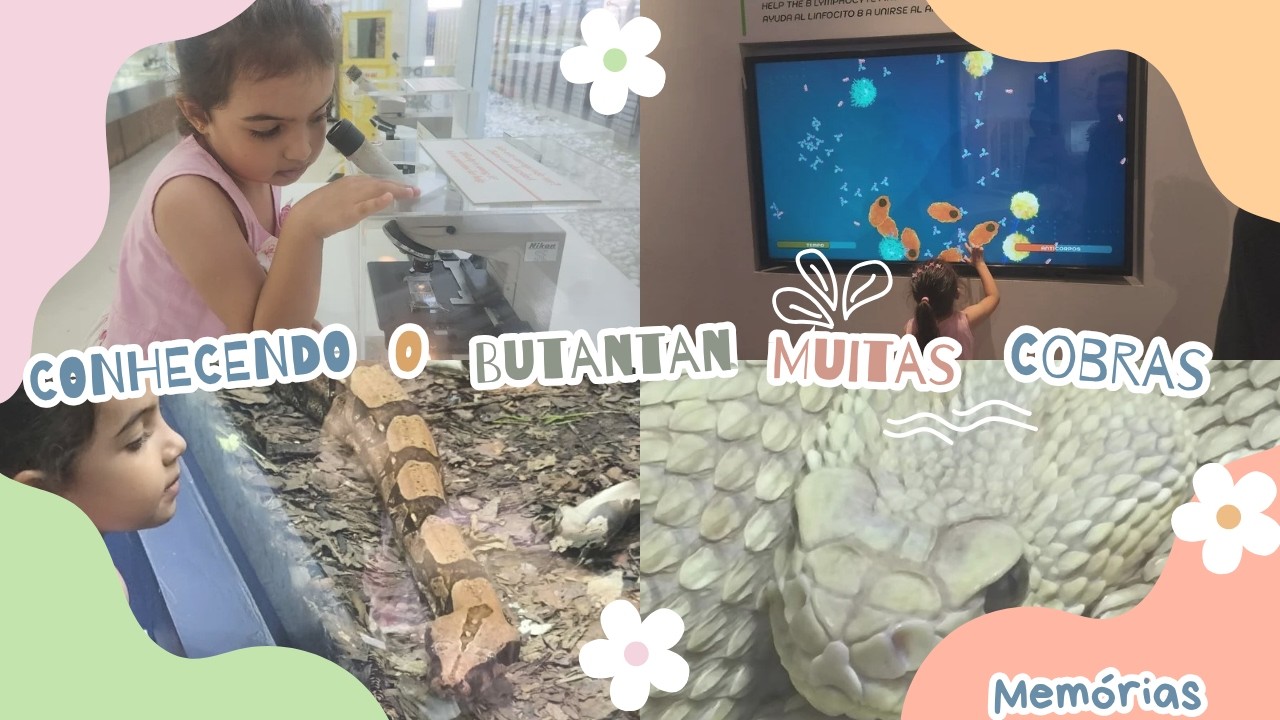O que fazer no butantan, valores e muitas cobras