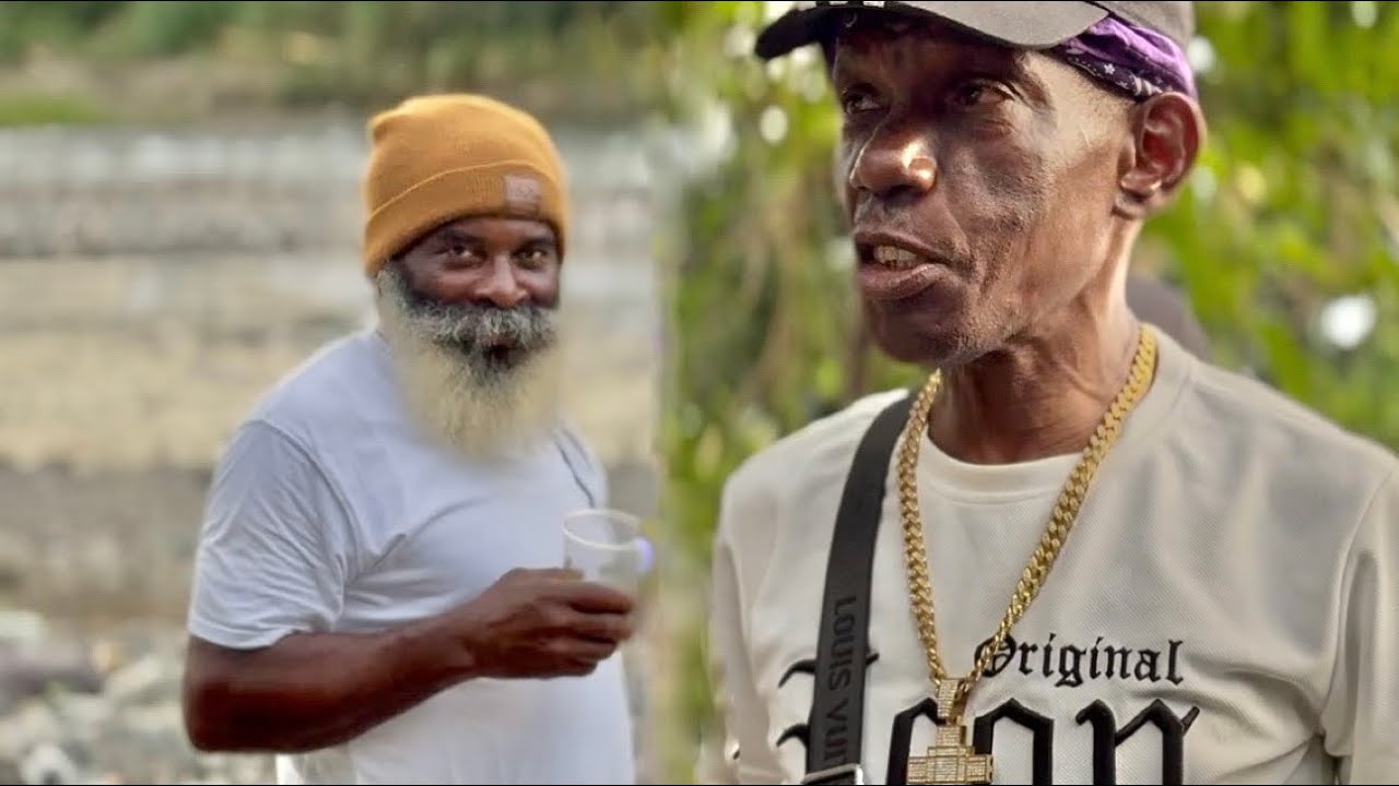Bawdacat vs walking tv | Johnny run || nitty rush him