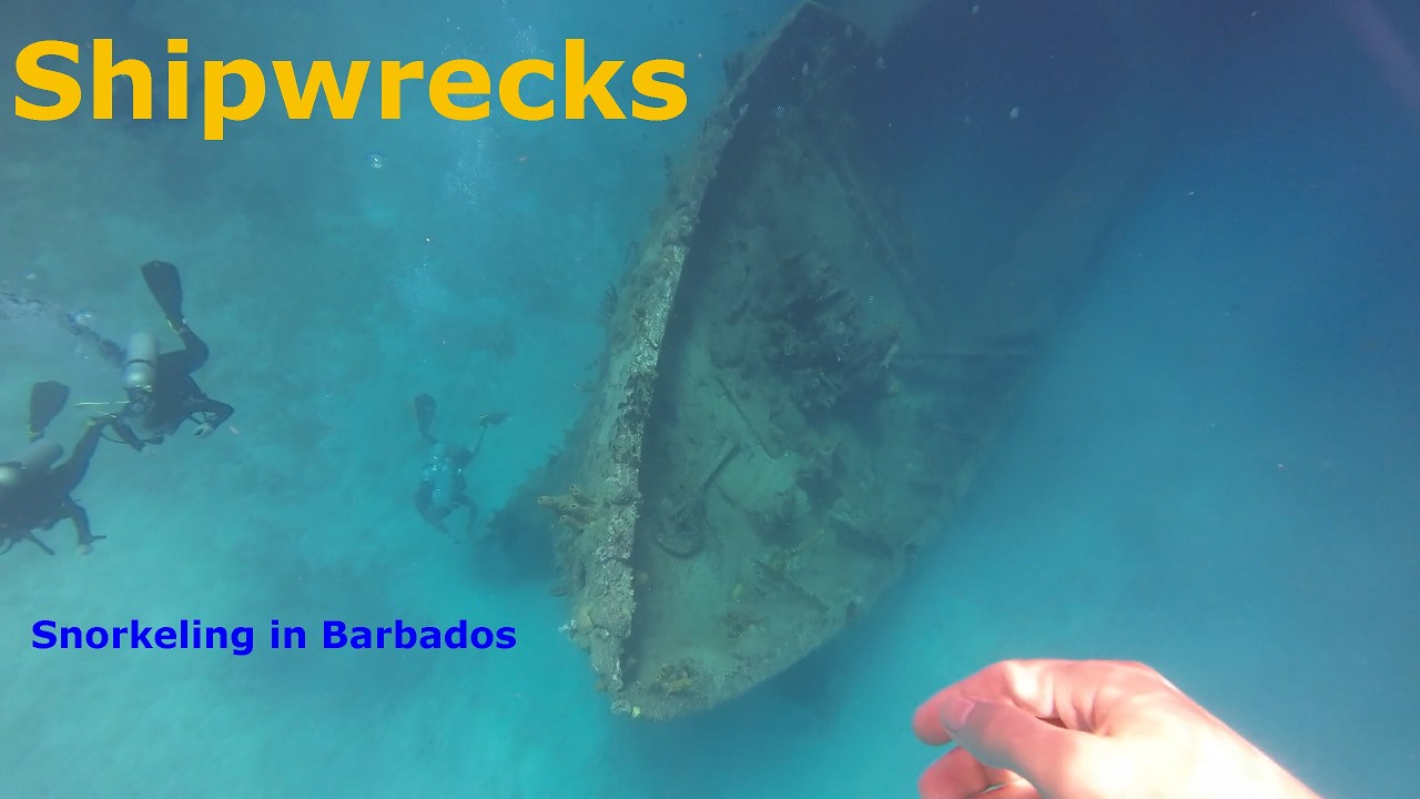 Exploring Shipwrecks in Carlisle Bay Barbados