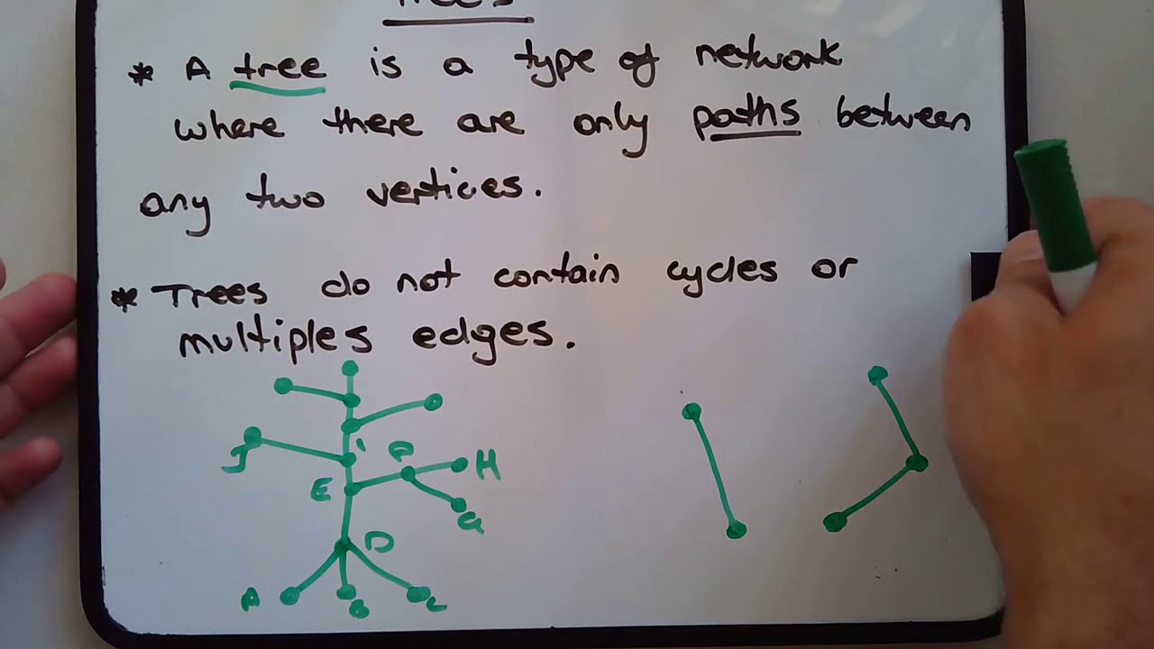 What is a network tree? (with examples including spanning trees)