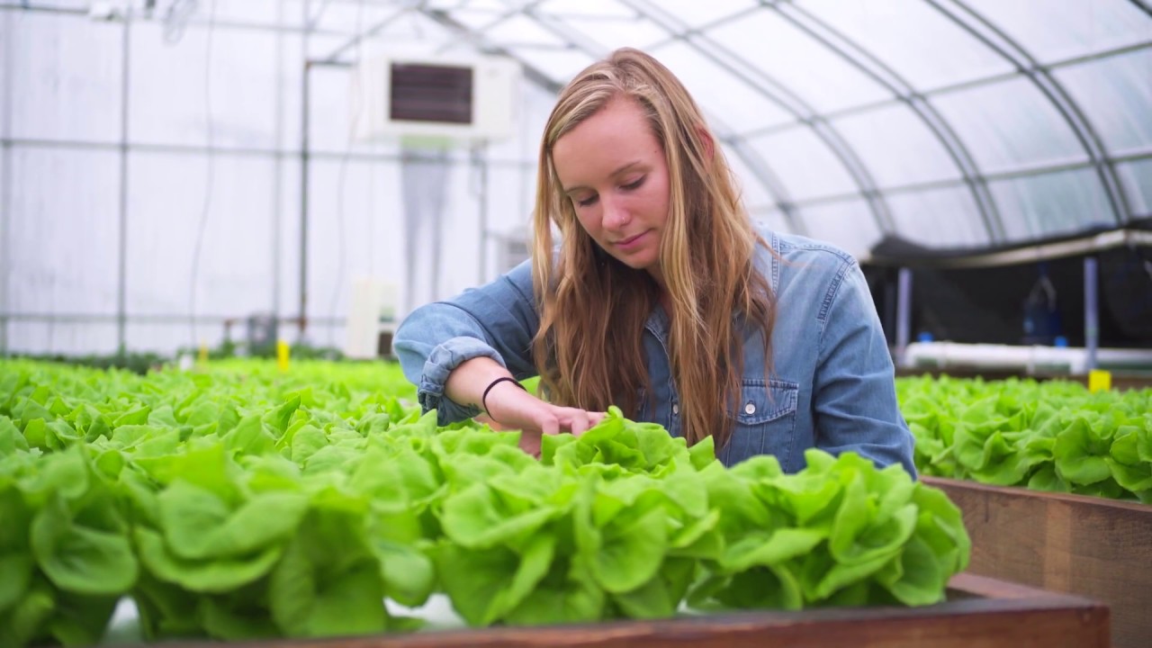 UNH Recirculating Aquaponics