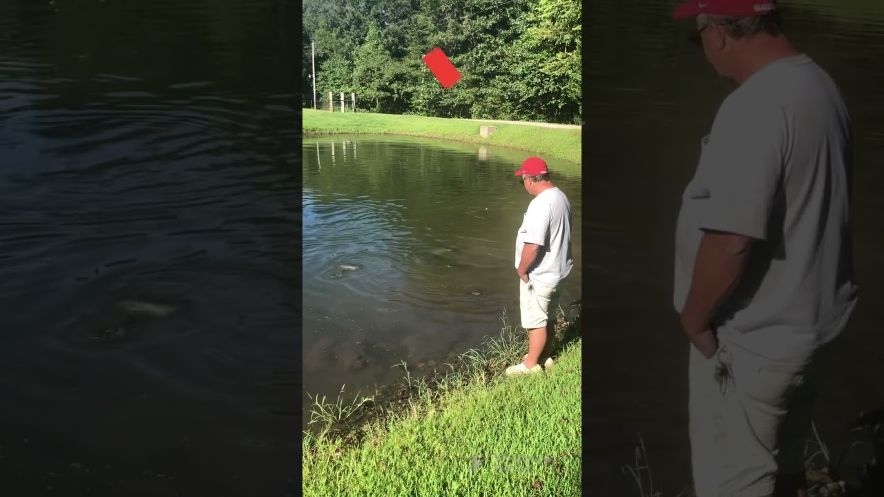 Catfish A New Way#catfishing #catfish_farm_ponds #catfishingtips #godhasnolimits