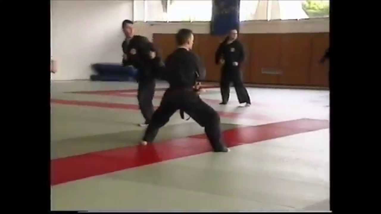 Chuong Quan Khi Dao - Quan khi Ba - Stage DTN 2000, Poitiers, France