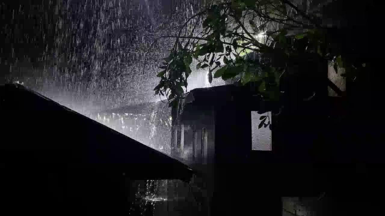 Calming Rain Sounds on Tin Roof for Stress Relief