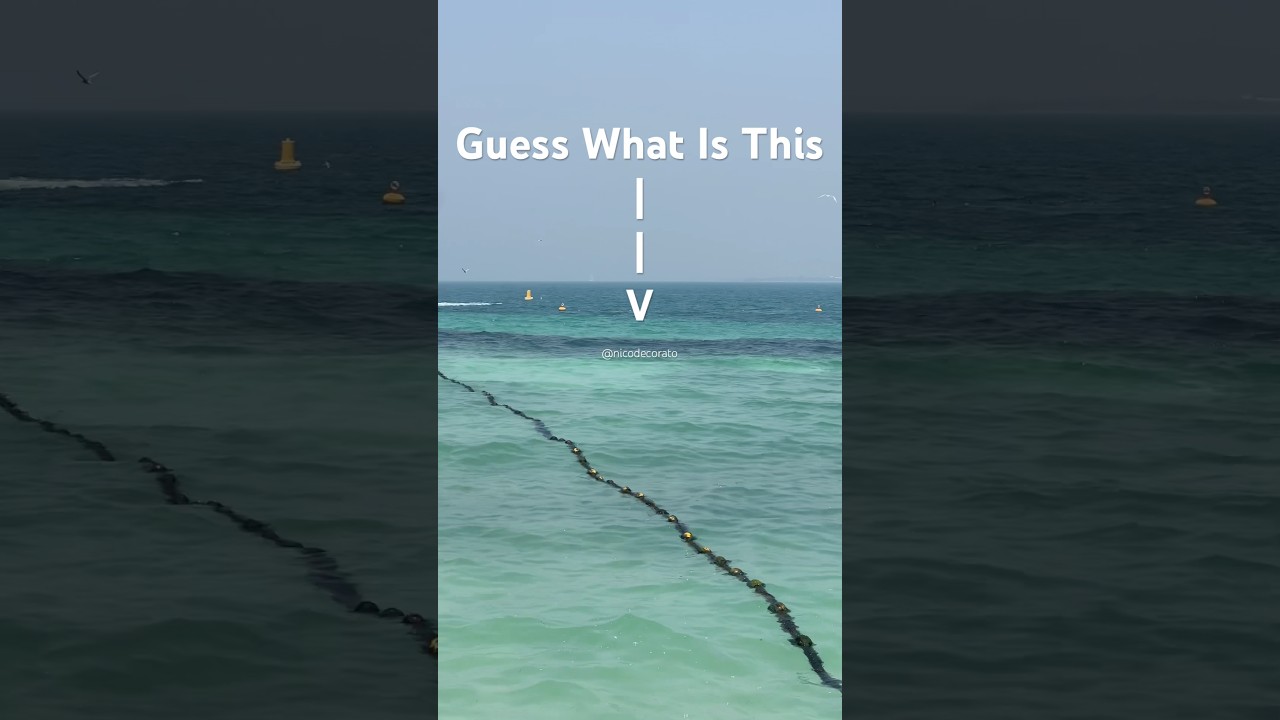 Guess WHAT Is This 📍Kite Beach, Dubai