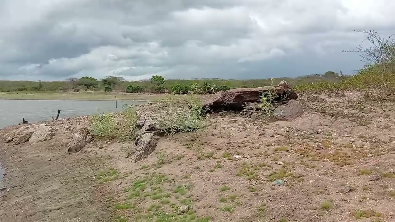 As chuvas 🌧️⛈️chegando no nosso sertão 